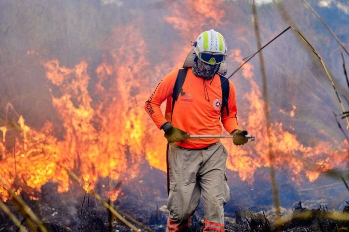 Gobierno de Chiapas emite exhorto ambiental a los ayuntamientos para reducir riesgos de incendios forestales