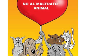 0CF4F0AD-8D7A-4F37-997B-960B23DE2AF1