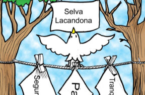 13B184DF-73FF-40FC-B368-4928B7570E0C