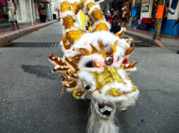 155C6264-745B-47EB-BA33-2F68F8D0E49C