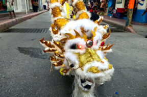 155C6264-745B-47EB-BA33-2F68F8D0E49C