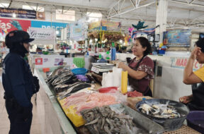 355FA913-1184-4629-BDE7-85574C812295