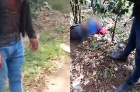 3F3D176B-43C4-4FCC-BE1B-D50390CAFC14