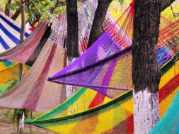 5F7A0311-76BF-4DB8-BD21-70AB54FEF5A3