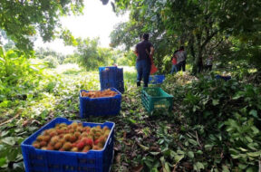 61E37BF7-6CBE-4C66-B71B-EAF85C1B525A