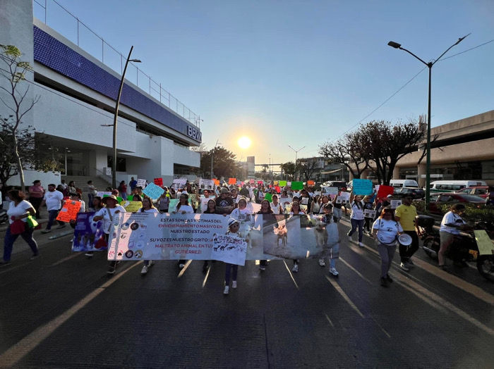 Marchan rescatistas y asociaciones para exigir la penalización del maltrato animal