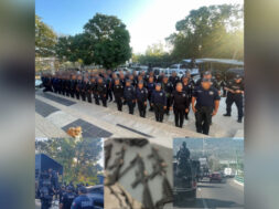 8A404F56-B073-4990-A6D4-BBCFD42A37C3