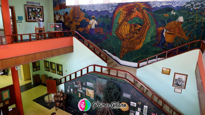 Un tesoro natural en el corazón de Tuxtla Gutiérrez