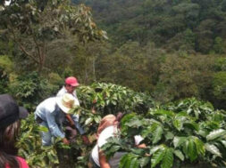 954AC131-AF74-4014-BE03-C73697108A82