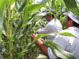 A76E2311-A6DB-4180-B46A-90CFB721BD60