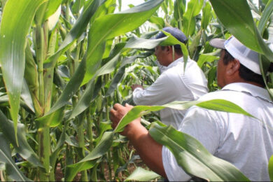 A76E2311-A6DB-4180-B46A-90CFB721BD60