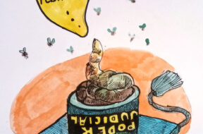 B5A8BACE-1DAC-4B82-B9DC-0B878100432B