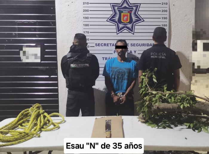 Policía Municipal Capitalina refuerza la protección ecológica en la capital y asegura a presunto “Ecocida”