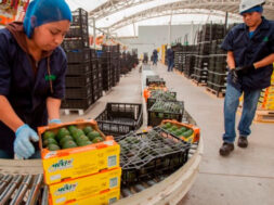 C1E1F0E6-4BA5-4A3F-91B6-2BCBA1C9007B