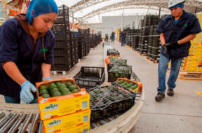 C1E1F0E6-4BA5-4A3F-91B6-2BCBA1C9007B