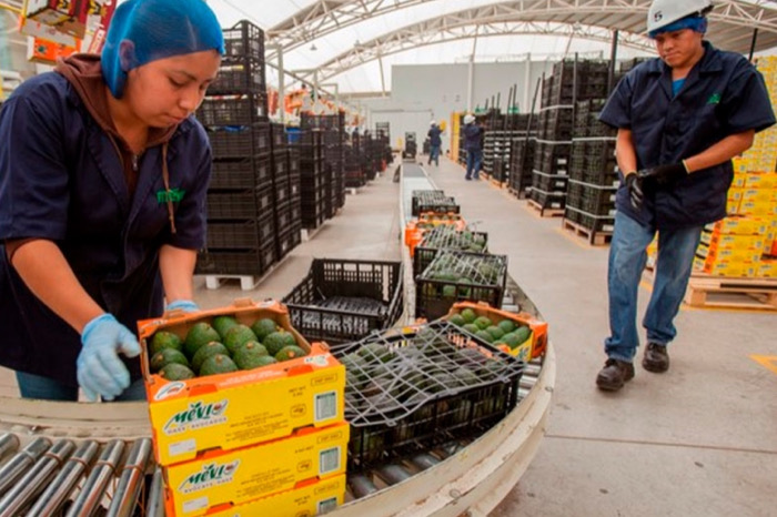 Exportaciones mexicanas podrían tener afectaciones por 475 mil mdd: CNA