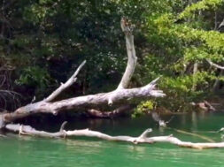 C53B7C6C-F888-4498-A7F2-015C96280FC8