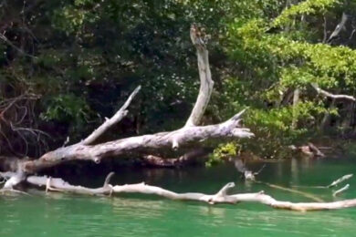 C53B7C6C-F888-4498-A7F2-015C96280FC8