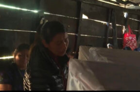 C619F537-840C-4D8C-8DBD-E695C527431D