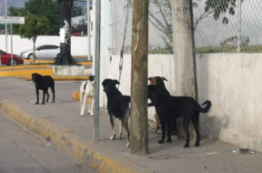 CC6C171F-1BD5-45E9-8CEE-2999429DB9DF