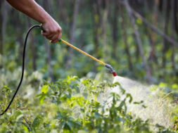 E7BE4DCA-D9BD-484A-B3F2-B7F9B4005AF0