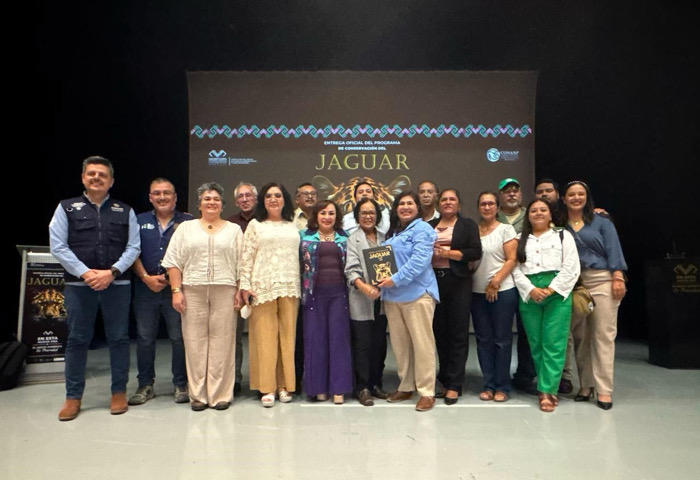 El jaguar, especie emblemática y protegida en Chiapas