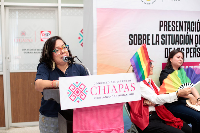 Presentan en Congreso Diagnóstico Estatal de derechos humanos de personas LGTB+