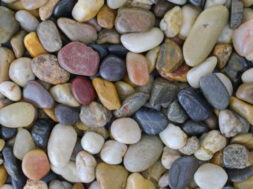 FC7D0AF0-11B8-4C63-911E-93AF01E4167D