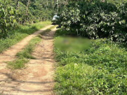 099EE766-B077-4AB3-AEFC-3580DDD37BDF