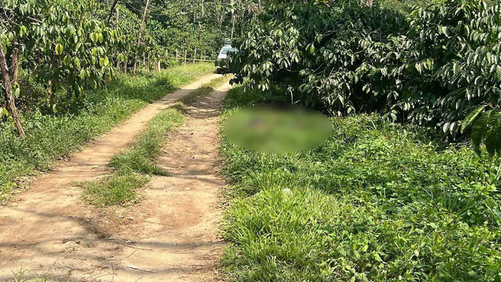 Violencia en Tapachula y Pijijiapan, reportan asesinatos