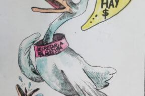 337260BD-DC71-4198-9787-522C6CC5C826