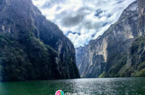 6C4EC860-CFF2-4C6F-A97A-1FF318AFDA01