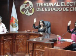 6E8C87BB-0664-4FF1-8126-AF0524A553F7