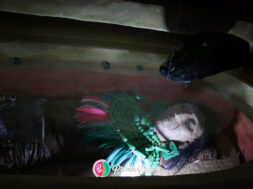 08CEF3FF-2A62-4EA1-B1B0-F8061324218F