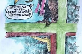 1CB99848-E6D6-4DE7-B651-6BFCF25FC52D