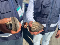 21D269F0-C3A6-46D9-B164-E409B2399420