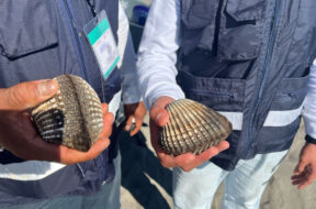 21D269F0-C3A6-46D9-B164-E409B2399420