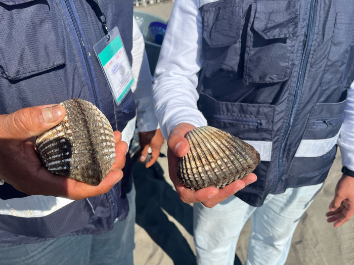 Secretaría de Salud establece veda sanitaria en Bahía de Paredón, por marea roja