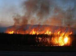 328B58F4-24DF-45F8-A79F-3B7AAB732771