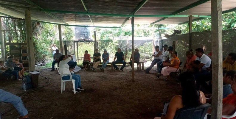 Denuncian paralización y la falta de transparencia en Sembrando Vida