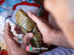 3918162E-D281-4E16-9490-BED2C58C30CF