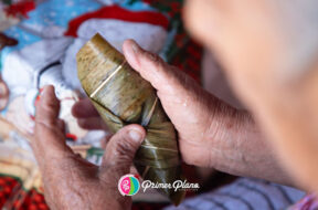 3918162E-D281-4E16-9490-BED2C58C30CF