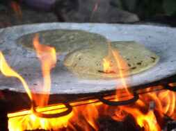 3A248C10-5039-4D47-AD06-930FFA041EE9