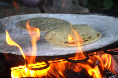 3A248C10-5039-4D47-AD06-930FFA041EE9