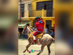 5369FA2C-AD49-40DA-A9BB-8C60C68DCCAE