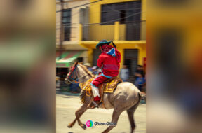 5369FA2C-AD49-40DA-A9BB-8C60C68DCCAE