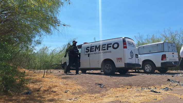 Hallan once cuerpos en fosas clandestinas al sur de Culiacán
