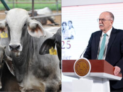 93148B4B-C54C-46CF-AEB2-AA062D6D1D28