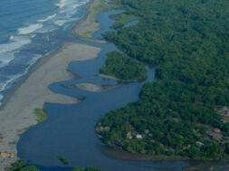 A718025F-59C4-45A3-A702-19900718C5D1