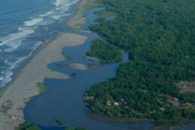 A718025F-59C4-45A3-A702-19900718C5D1